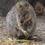 大ちゃん母のサムネイル