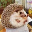 NyaRoのサムネイル
