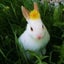千乃うさぎのサムネイル