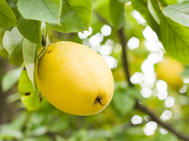 自立を阻む親の一言 親との依存関係を克服し、自分の幸せを見つける為に