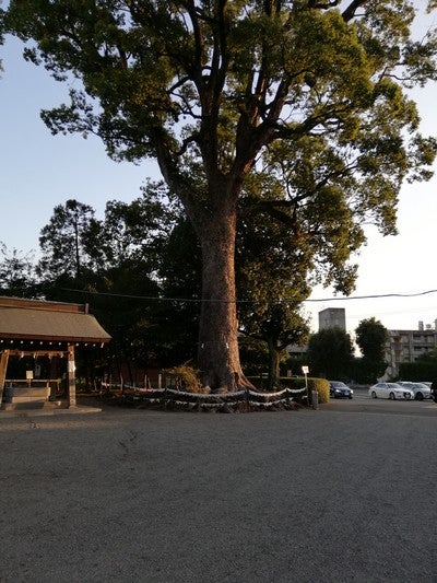 住吉会系幸平一家の活動が活発に 稲川会系との報復合戦 歌舞伎町スカウト狩り 特殊詐欺 Ri3shusekitorudohのブログ