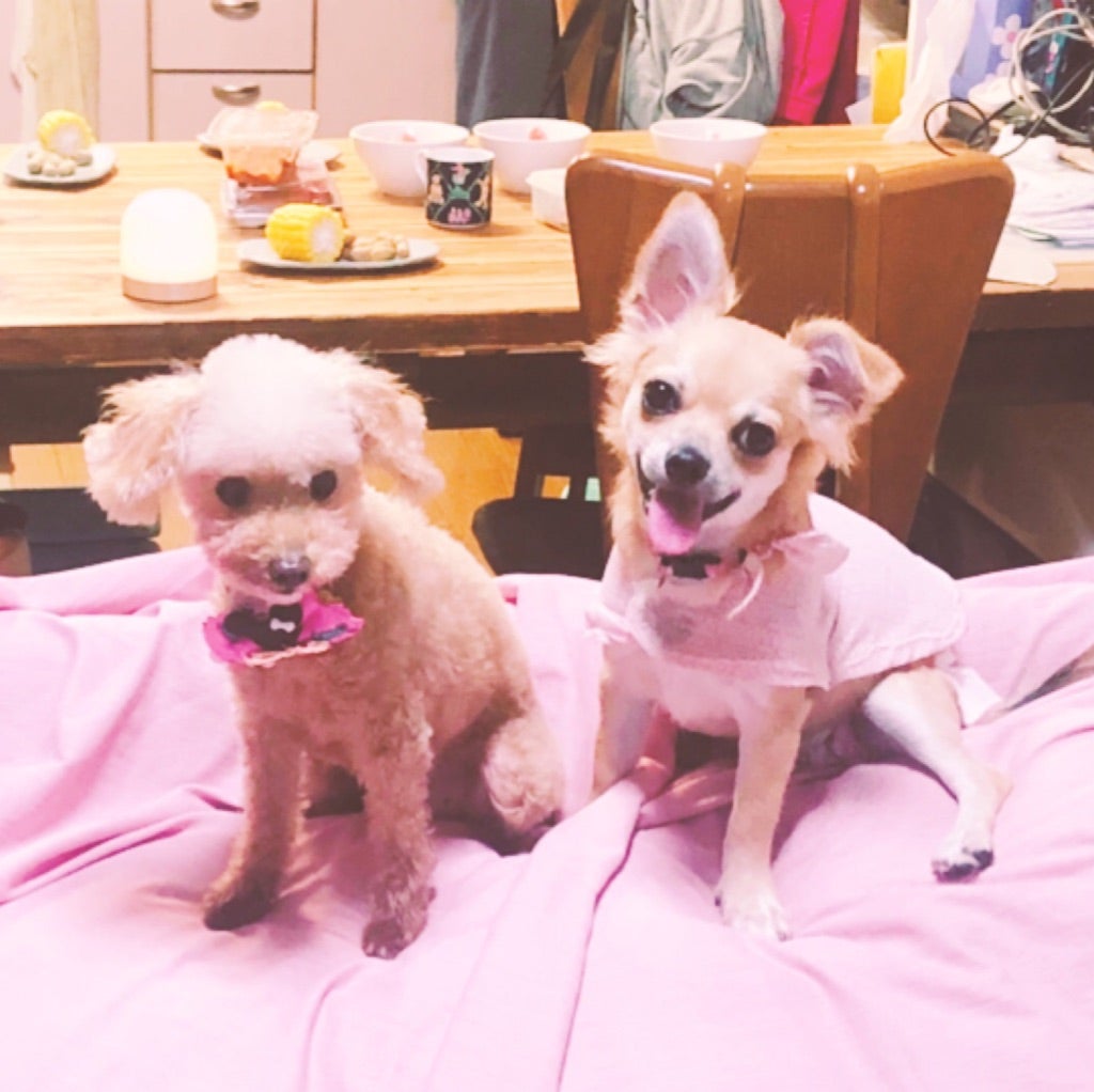 デカチワちゃんねる デカチワ&日常ブログ