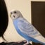 kuumama326のサムネイル
