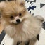 ララのサムネイル