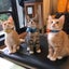 画像 東京保護猫ママのブログのユーザープロフィール画像