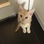 月くんブログ☆のサムネイル