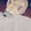 たびくんのサムネイル