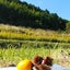 いさのサムネイル