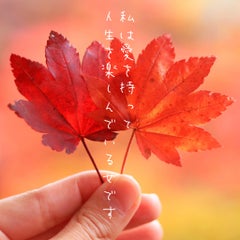 才能は開花させるもの センスは磨くもの Lofu Photogram 才能は開花させるもの センスは磨くもの Lofu Photogram