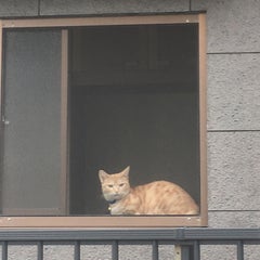 さいたまのまささんのプロフィール