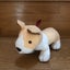 shokomama20201201のサムネイル