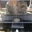 きひと。のサムネイル