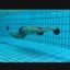 水泳から広がる世界のサムネイル
