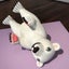 nanashinohibiのサムネイル