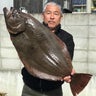 ヤマガッタンのプロフィール
