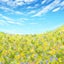nananaのサムネイル