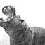 Hippoのサムネイル