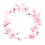 sakurablooming2021のサムネイル