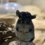 sunsunのサムネイル