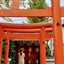 AKIのサムネイル