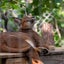 カラ子のサムネイル
