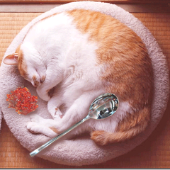 oonoarashidaisukiのプロフィール