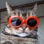 画像 猫娘の戯言のユーザープロフィール画像