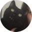 画像 猫をピカピカにする計画のユーザープロフィール画像