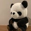 Parikoのサムネイル