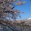 akipapaのサムネイル