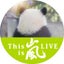 かえるのお姫様のサムネイル