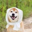 hitoyoshi-kuma2020のサムネイル