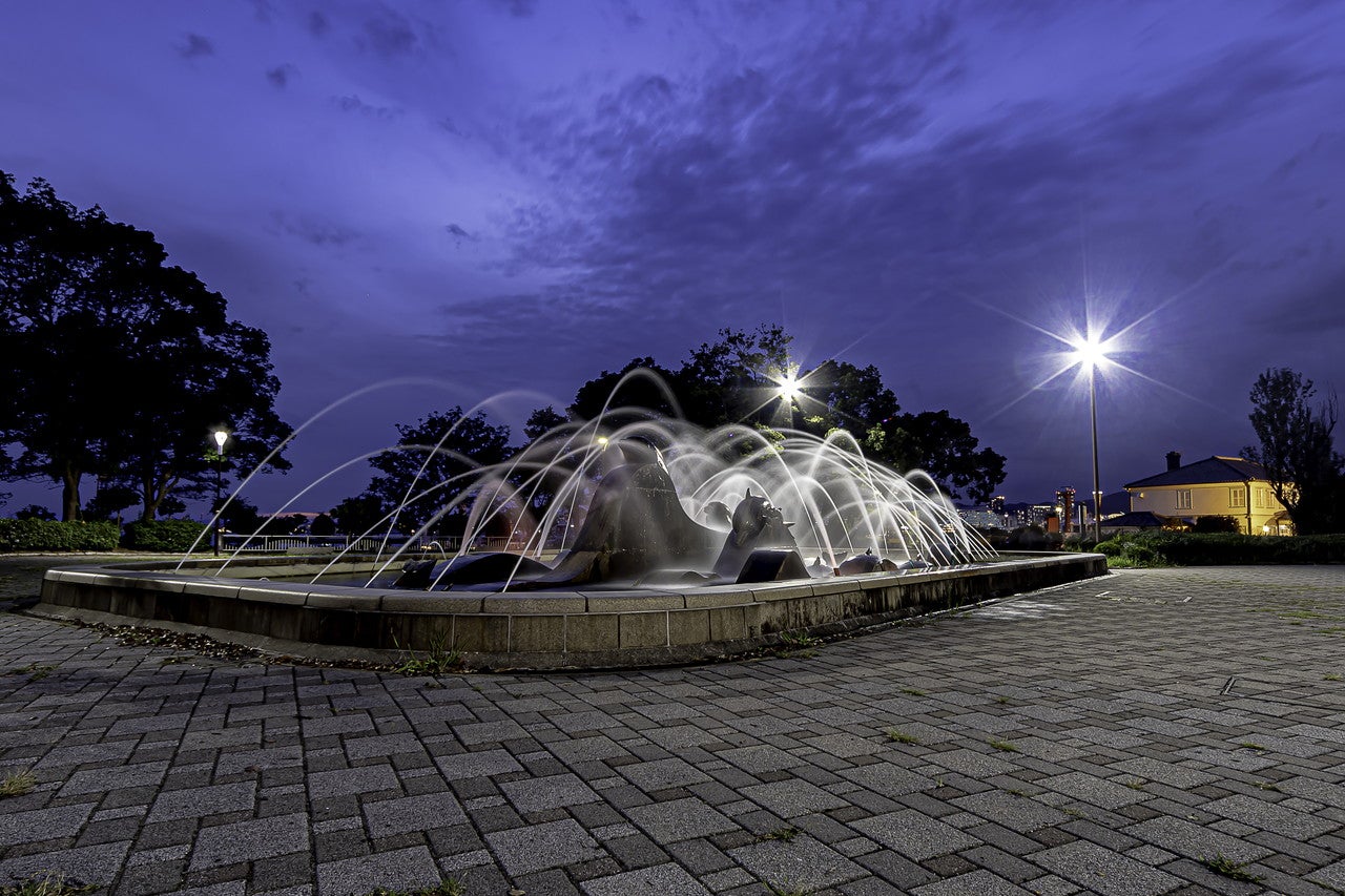 ニコン「Z 9」のAFは従来のZとは雲泥の差（デジカメinfo） 一人ぼっちの写真展