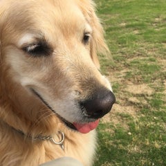 ふわりのプロフィール