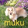 muku-2020のプロフィール