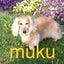 muku-2020のサムネイル