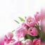 画像 花の韓国生活日記のユーザープロフィール画像