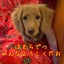 ほむらのサムネイル