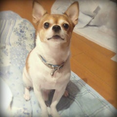 takamasa カメラ好きのおっさんのプロフィール
