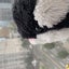cookie-0807のサムネイル