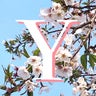 弓(YuMi)のプロフィール