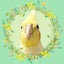 OKAME監督のサムネイル