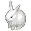 ユキウサギのサムネイル