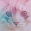 けむくねこのサムネイル