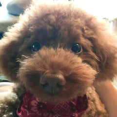うちうちママのプロフィール