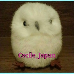 セシルのプロフィール