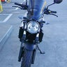 保護ネコライダーのプロフィール