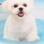 べぇちゃんのサムネイル