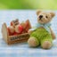 ★Teddy★のサムネイル