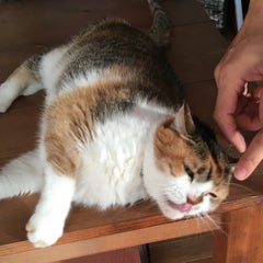 MKのプロフィール